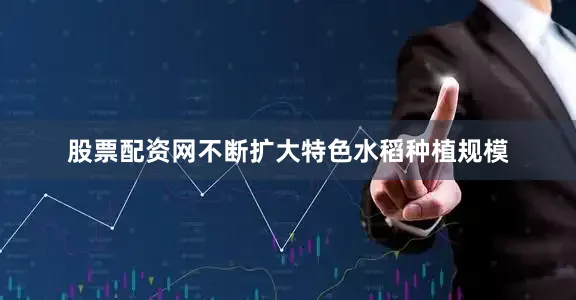 股票配资网不断扩大特色水稻种植规模