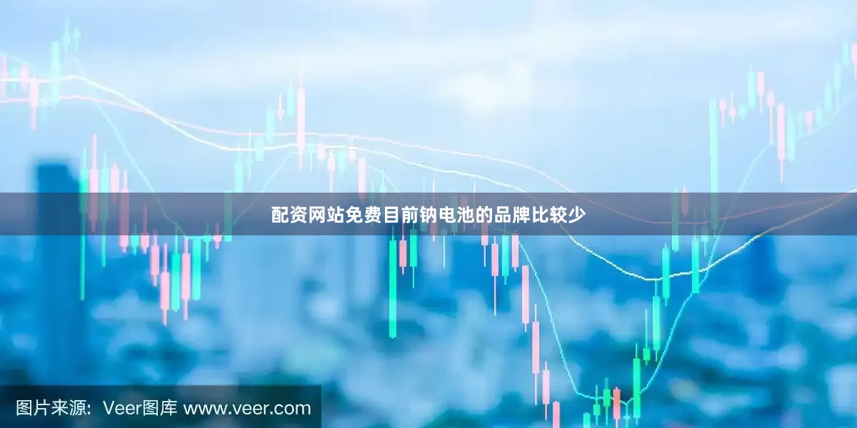 配资网站免费目前钠电池的品牌比较少