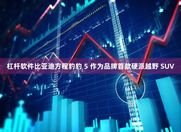 杠杆软件比亚迪方程豹豹 5 作为品牌首款硬派越野 SUV