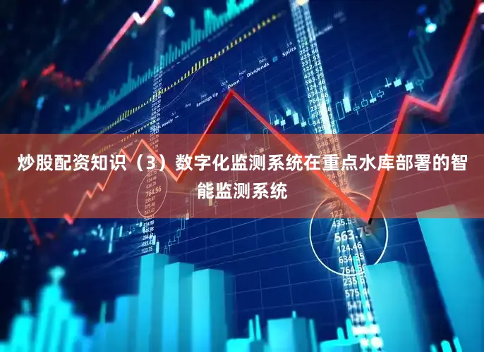 炒股配资知识（3）数字化监测系统在重点水库部署的智能监测系统