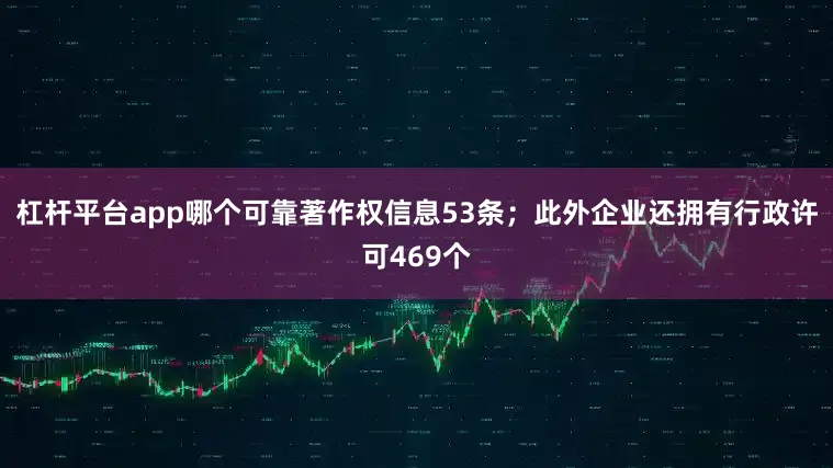 杠杆平台app哪个可靠著作权信息53条；此外企业还拥有行政许可469个
