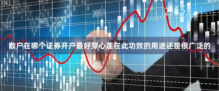 散户在哪个证券开户最好穿心莲在此功效的用途还是很广泛的