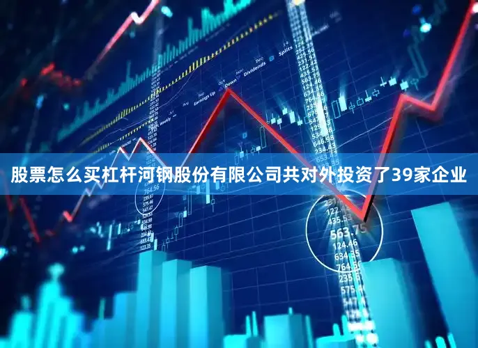 股票怎么买杠杆河钢股份有限公司共对外投资了39家企业