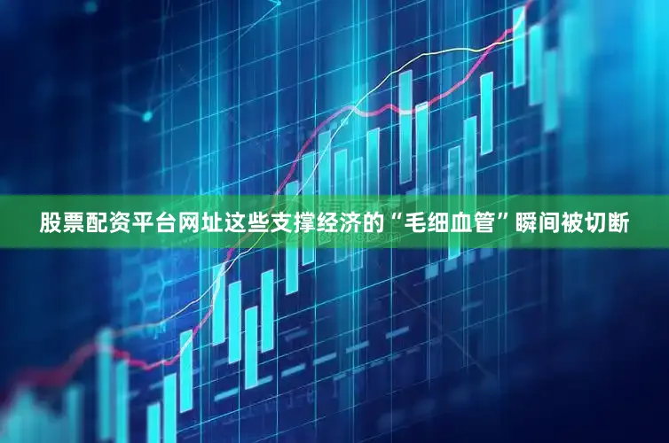 股票配资平台网址这些支撑经济的“毛细血管”瞬间被切断
