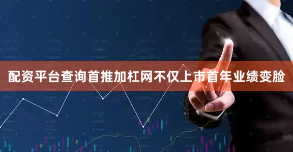 配资平台查询首推加杠网不仅上市首年业绩变脸